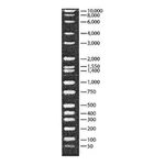 Merck DirectLoad Wide Range DNA Marker