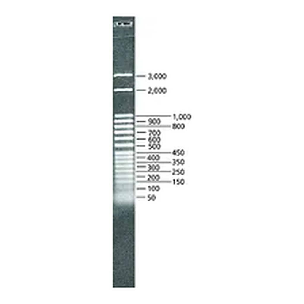 Merck DirectLoad 50 bp DNA Step Ladder