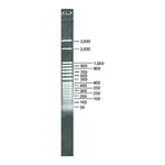 Merck DirectLoad 50 bp DNA Step Ladder