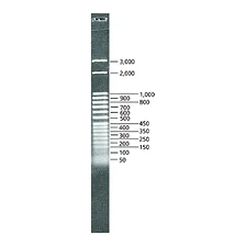 Merck DirectLoad 50 bp DNA Step Ladder