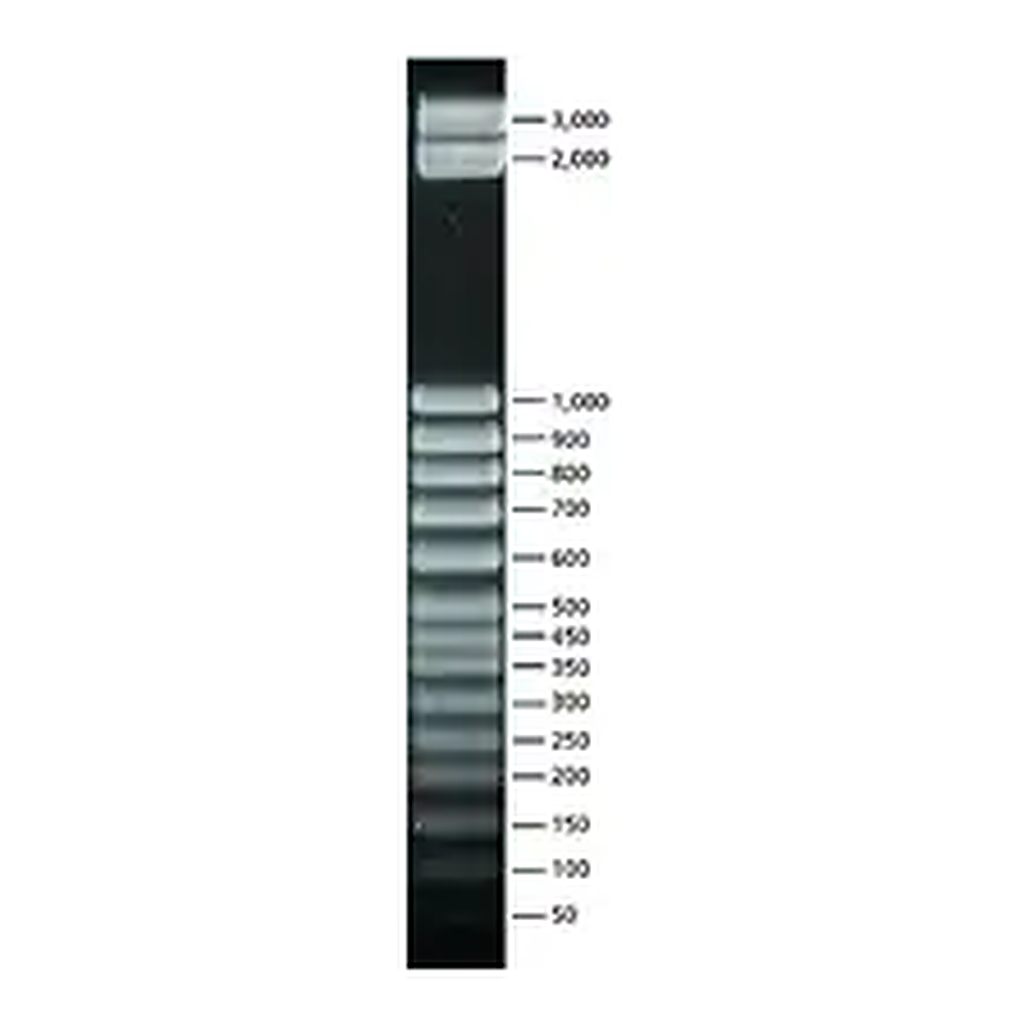 Merck 50 bp DNA Step Ladder