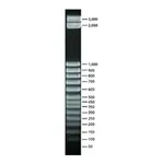 Merck 50 bp DNA Step Ladder