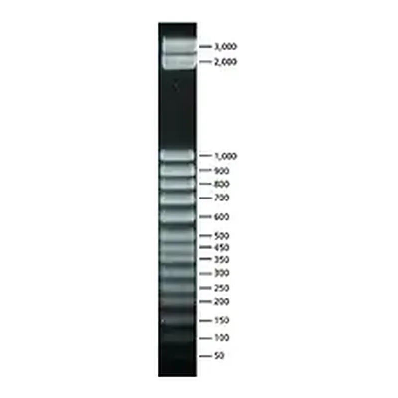 Merck 50 bp DNA Step Ladder