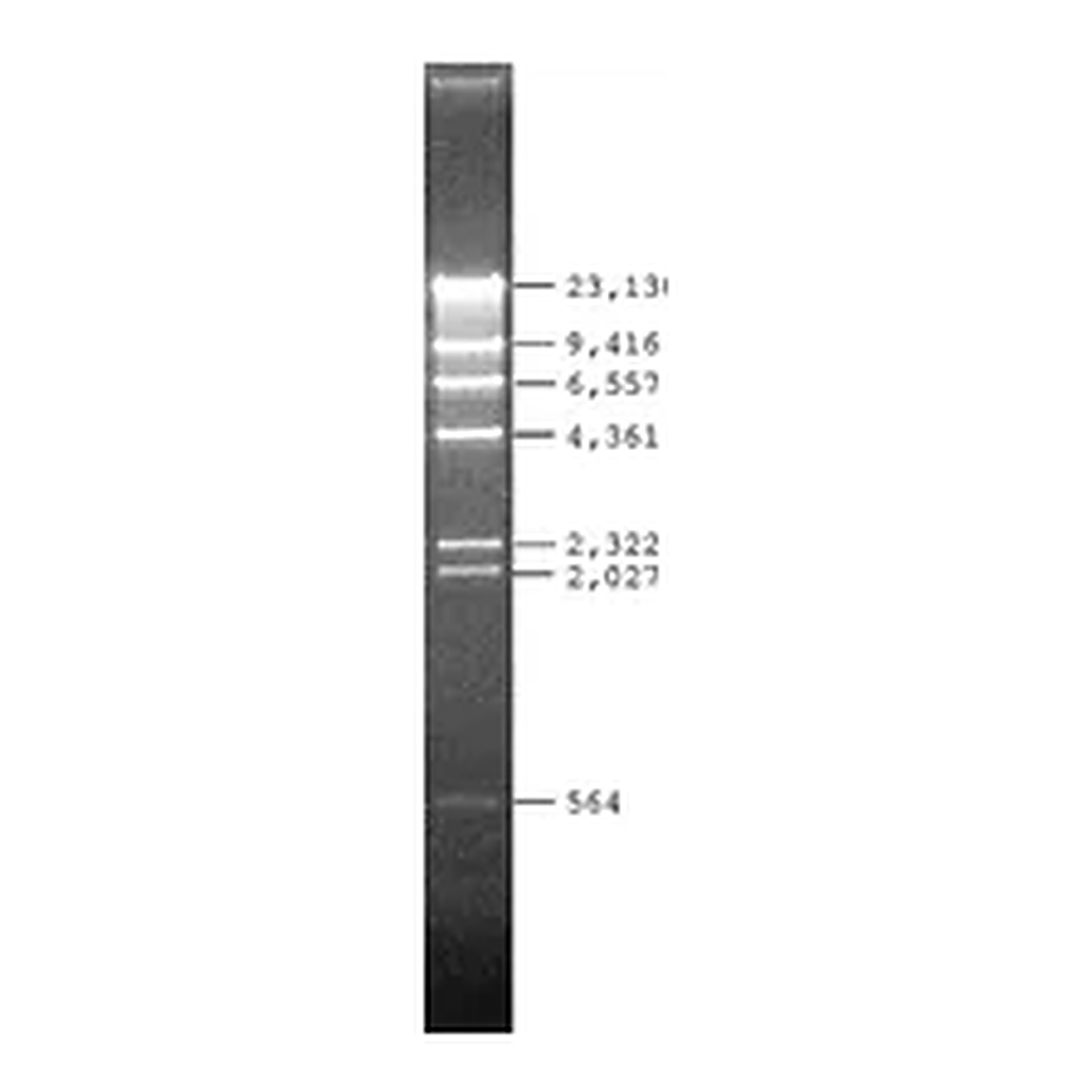 Merck Lambda DNA Hind III Digest