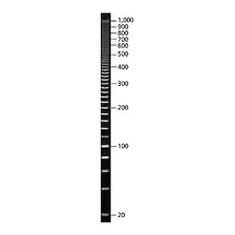Merck PCR 20 bp Low Ladder