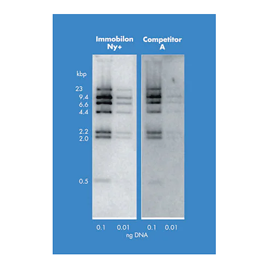 Merck Immobilon-Ny+ Membrane, charged Nylon, 0.45 µm, 30 cm x 3.3 m roll