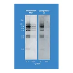 Merck Immobilon-Ny+ Membrane, charged Nylon, 0.45 µm, 30 cm x 3.3 m roll