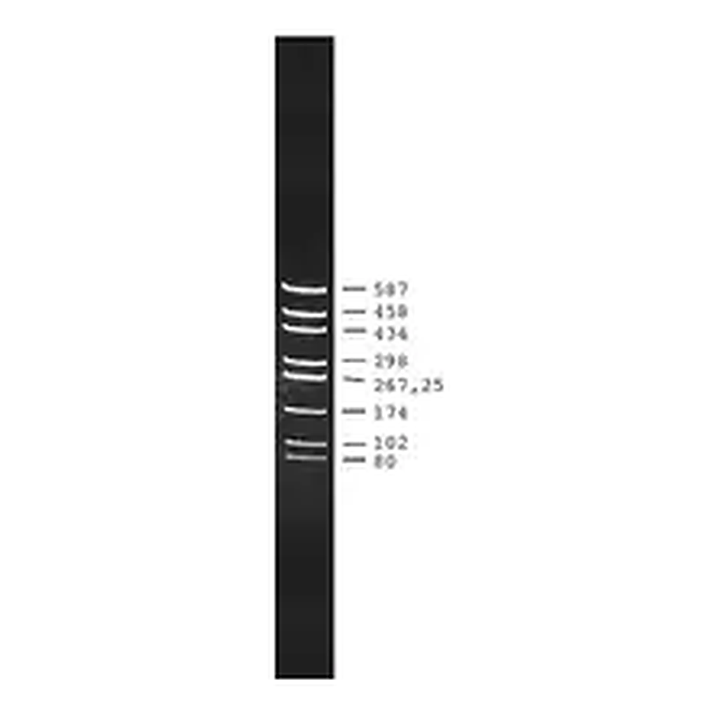 Merck pUC18 DNA Hae III Digest