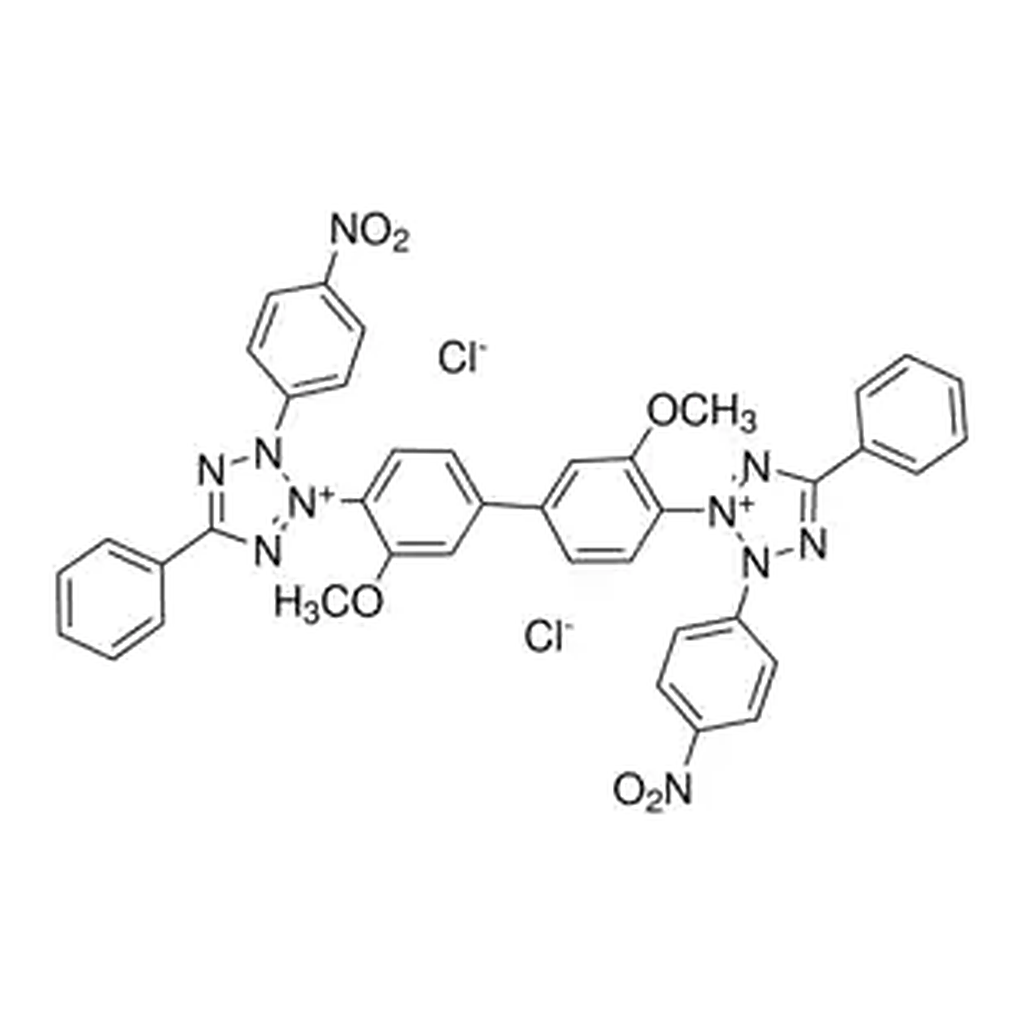 Merck NBT