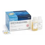 Merck DIG-High Prime DNA Labeling and Detection Starter Kit I