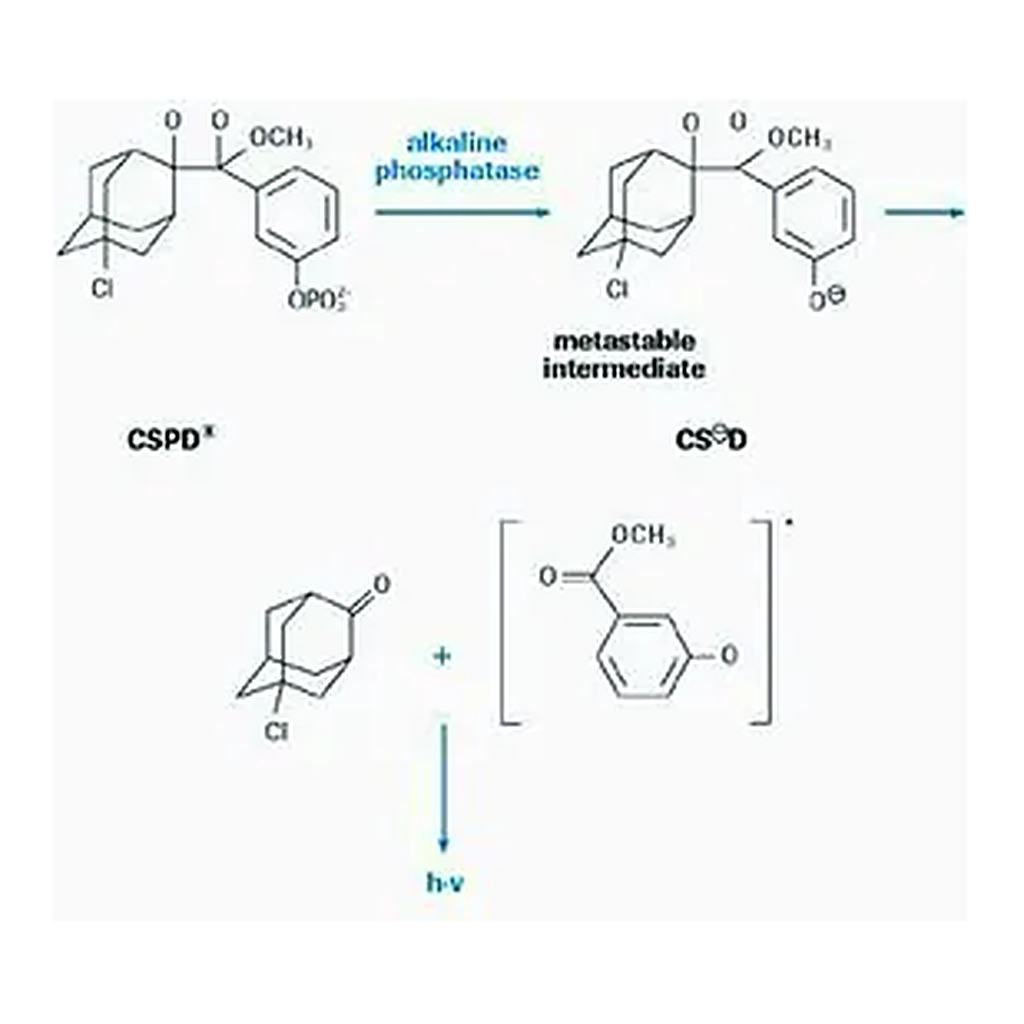 Merck DIG Luminescent Detection Kit