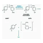 Merck DIG Luminescent Detection Kit
