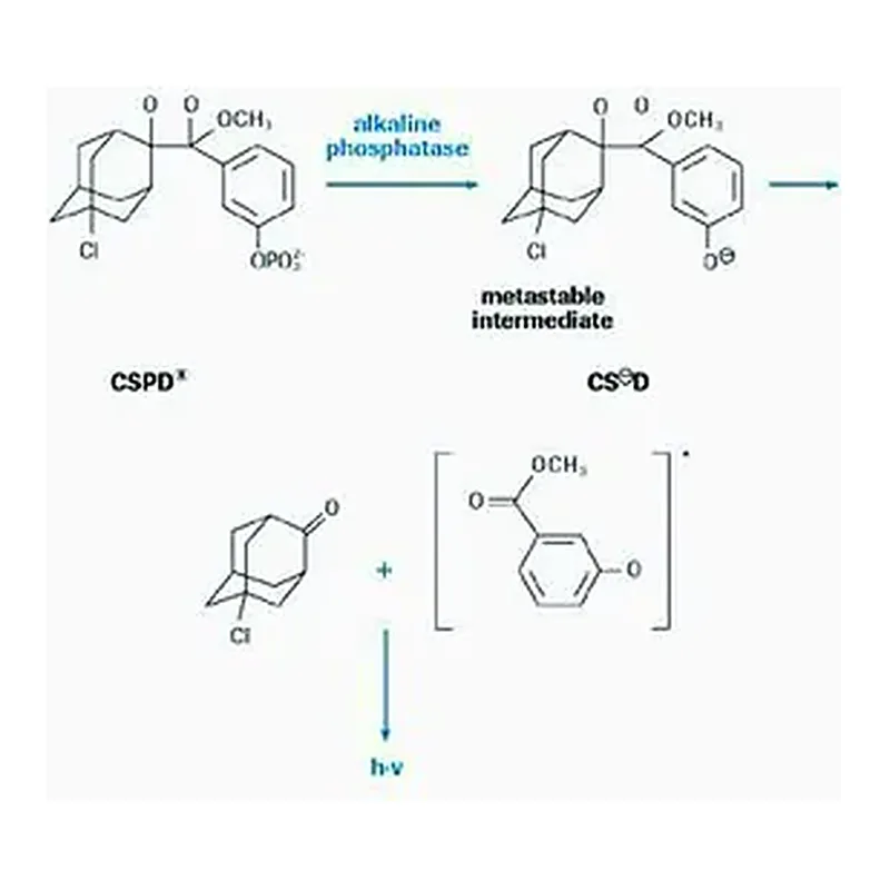Merck DIG Luminescent Detection Kit