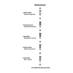 Merck GenElute Blood Genomic DNA Kit