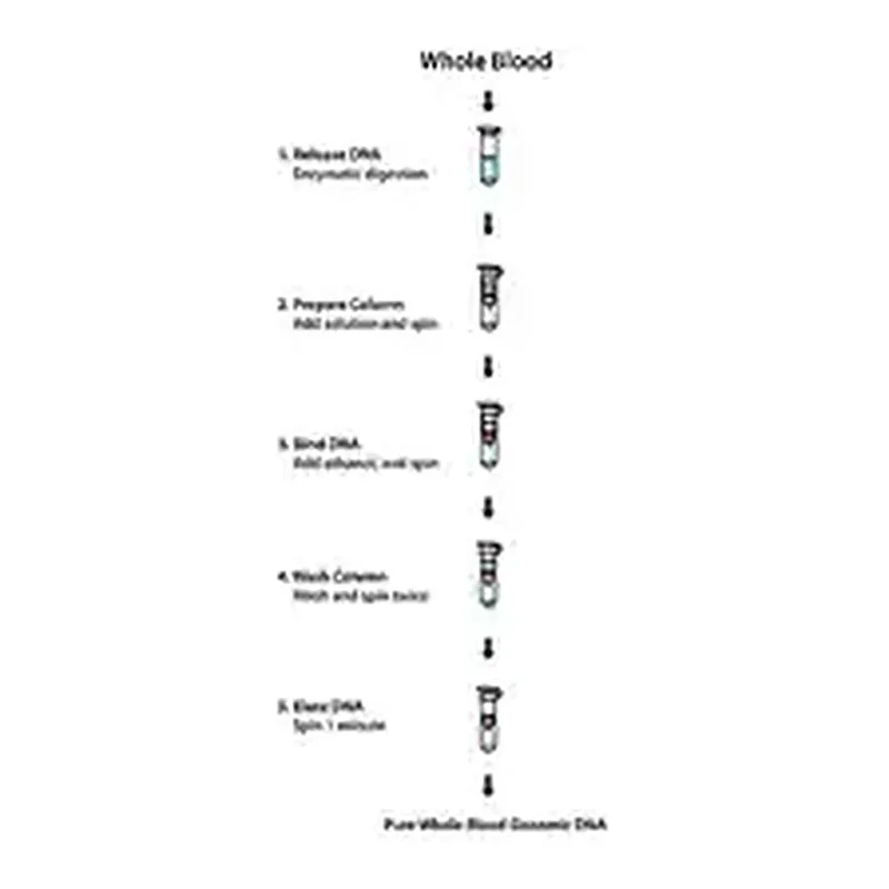 Merck GenElute Blood Genomic DNA Kit