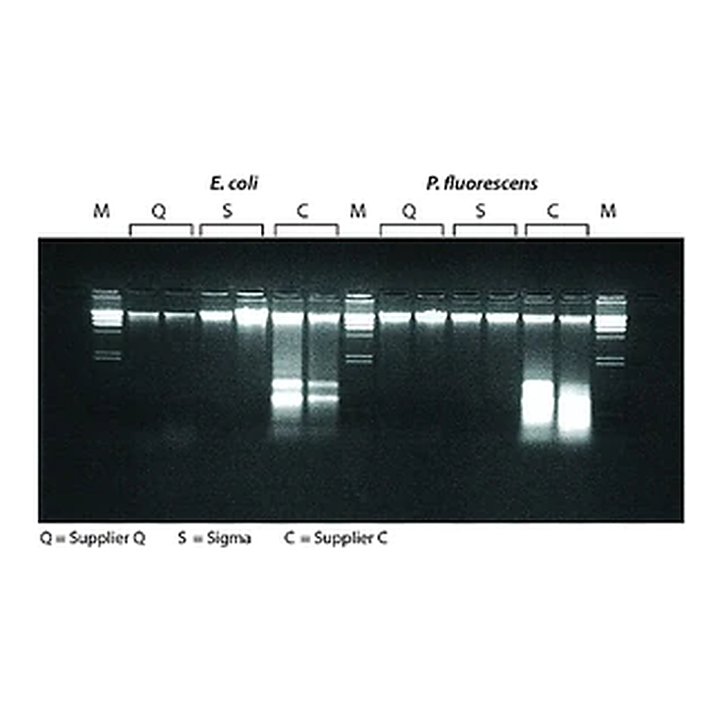 Merck GenElute Bacterial Genomic DNA Kits