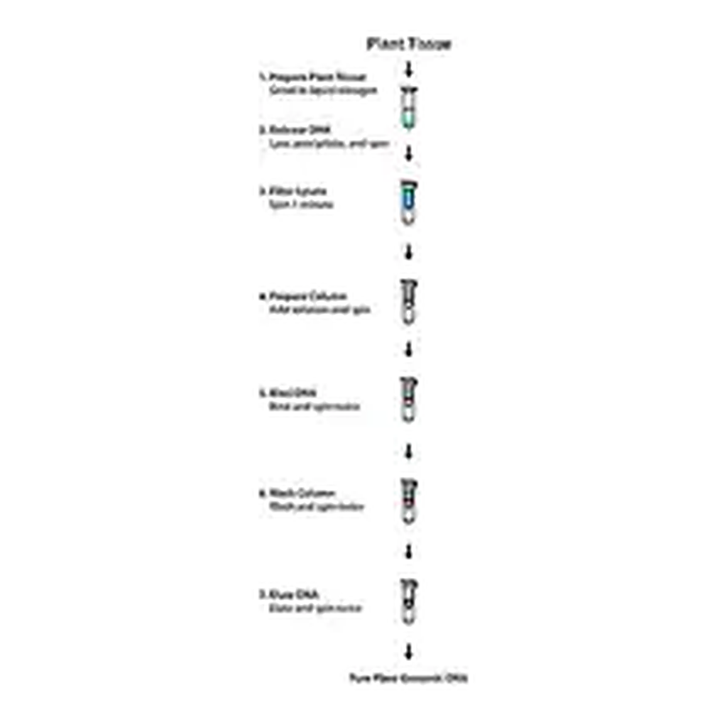Merck GenElute Plant Genomic DNA Miniprep Kit