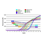 Merck SYBR Green Extract-N-Amp Tissue PCR Kit