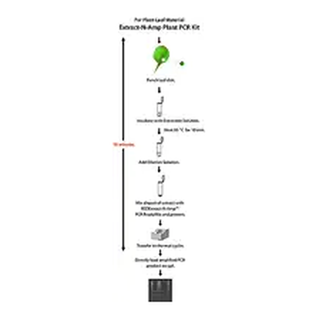 Merck REDExtract-N-Amp Plant PCR Kit