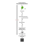 Merck REDExtract-N-Amp Plant PCR Kit