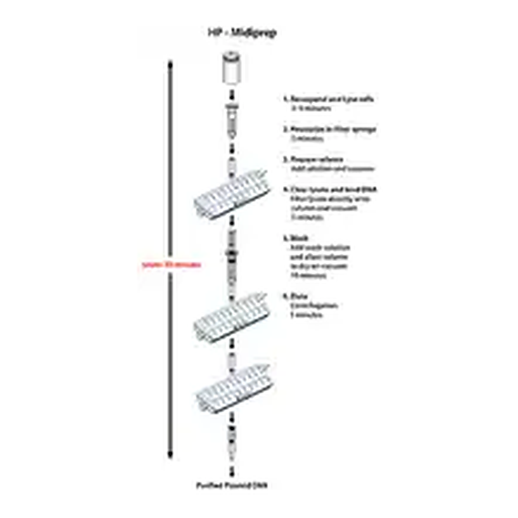 Merck GenElute HP Plasmid Midiprep Kit