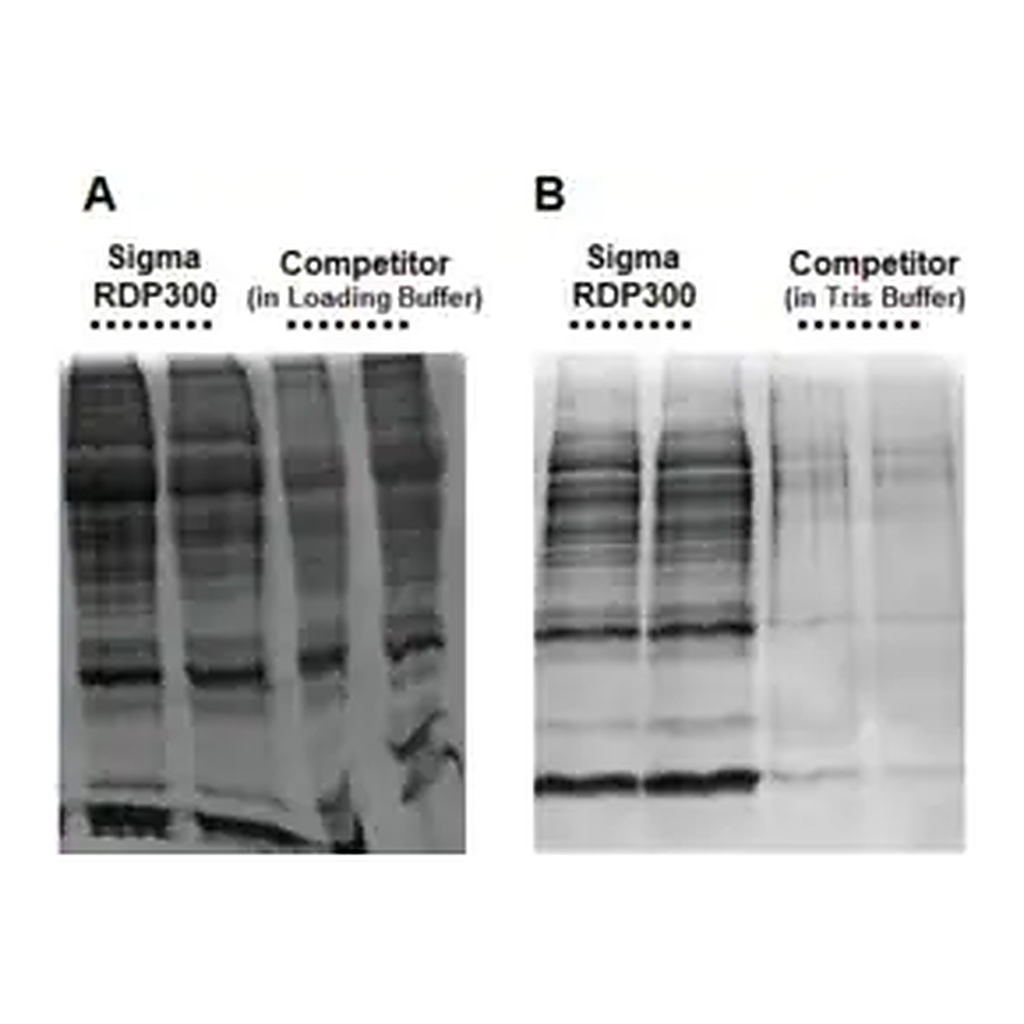 Merck GenElute RNA/DNA/Protein Purification Plus Kit