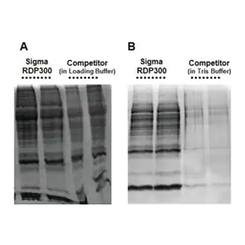 Merck GenElute RNA/DNA/Protein Purification Plus Kit