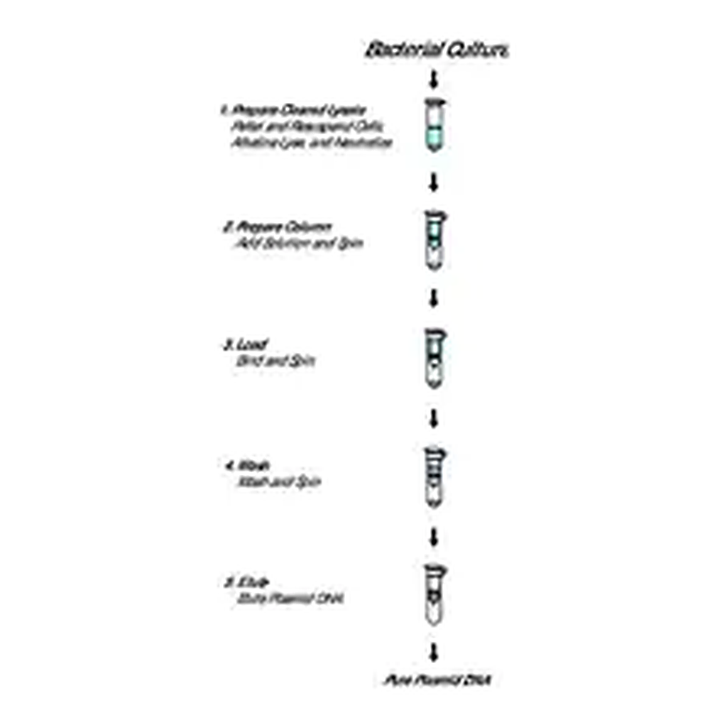 Merck GenElute Plasmid Miniprep Kit
