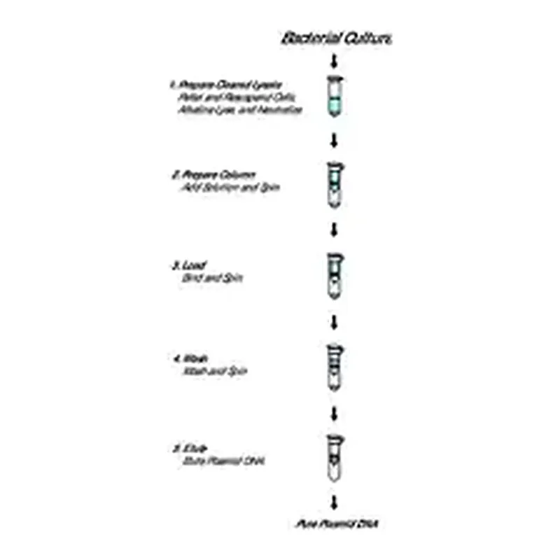 Merck GenElute Plasmid Miniprep Kit