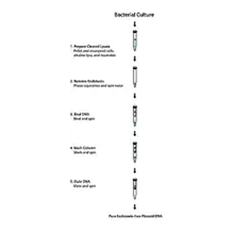 Merck GenElute Endotoxin-free Plasmid Midiprep Kit
