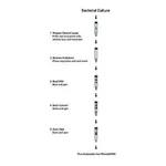 Merck GenElute Endotoxin-free Plasmid Maxiprep Kit