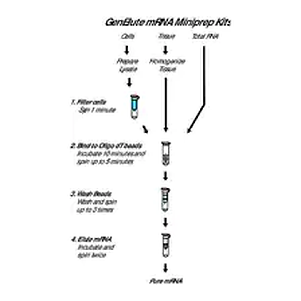 Merck GenElute Direct mRNA Miniprep Kits