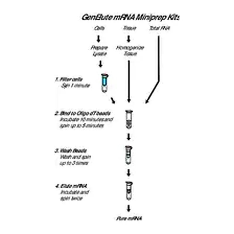 Merck GenElute Direct mRNA Miniprep Kits