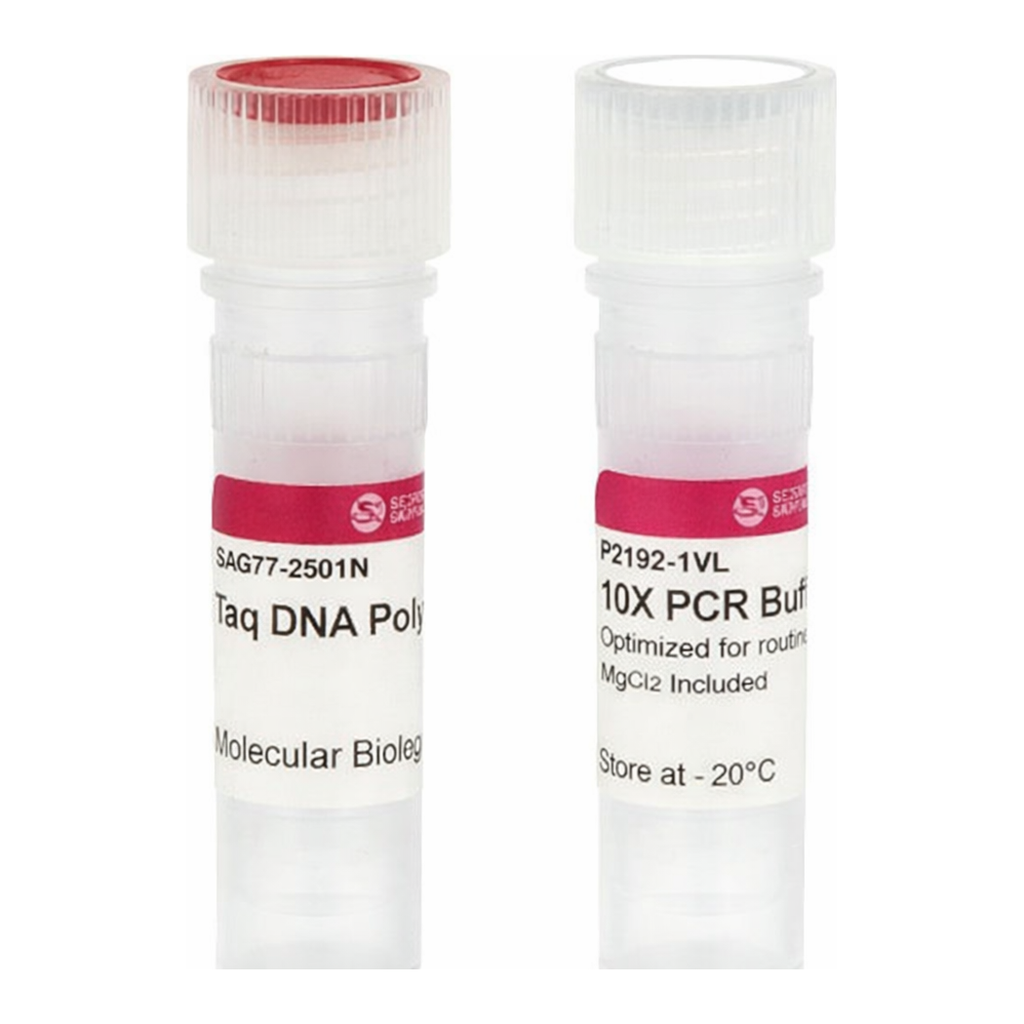Merck Taq DNA Polymerase from Thermus aquaticus