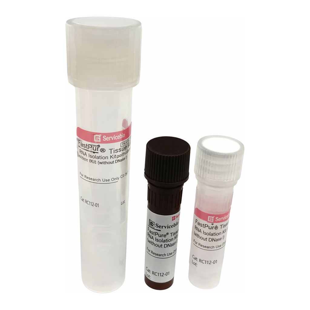 Merck JumpStart Taq ReadyMix for Quantitative PCR