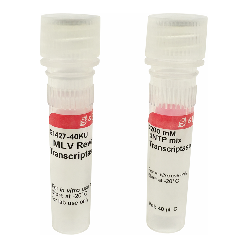 Merck M-MLV Reverse Transcriptase