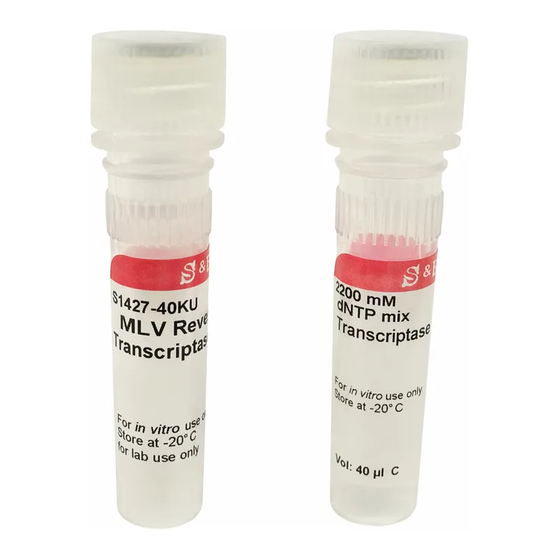Merck M-MLV Reverse Transcriptase