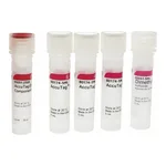 Merck AccuTaq LA DNA Polymerase