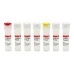 Merck PCR Core kit with Taq DNA polymerase