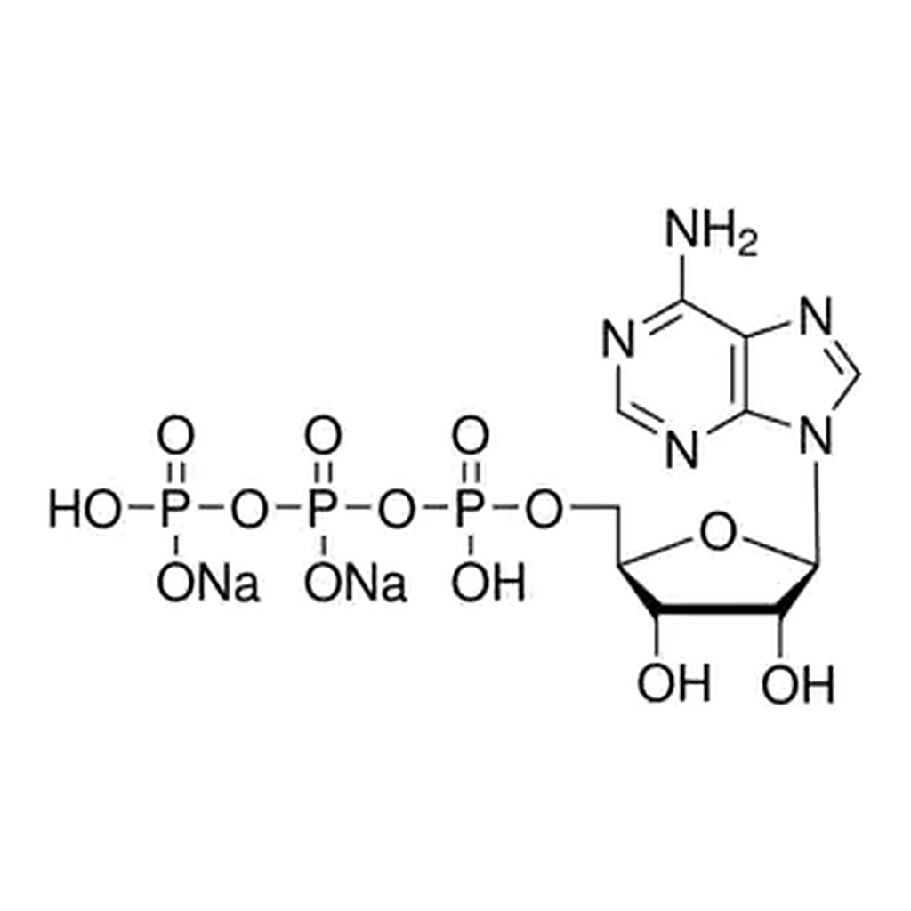 Merck Adenosine 5′-triphosphate disodium salt solution