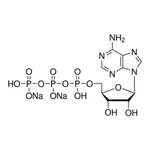 Merck Adenosine 5′-triphosphate disodium salt solution