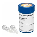 Merck Reverse Transcriptase AMV
