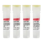 Merck Deoxynucleotide Set, 10 mM