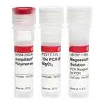 Merck JumpStart Taq DNA Polymerase