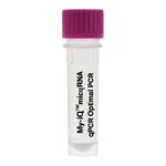 Merck MystiCq Universal PCR Primer