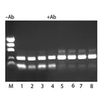 Merck JumpStart REDTaq DNA Polymerase