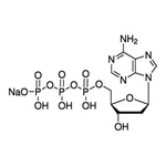 Merck 2′-Deoxyadenosine 5′-triphosphate sodium salt solution