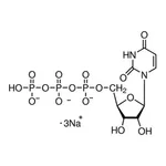 Merck Uridine 5′-triphosphate trisodium salt solution