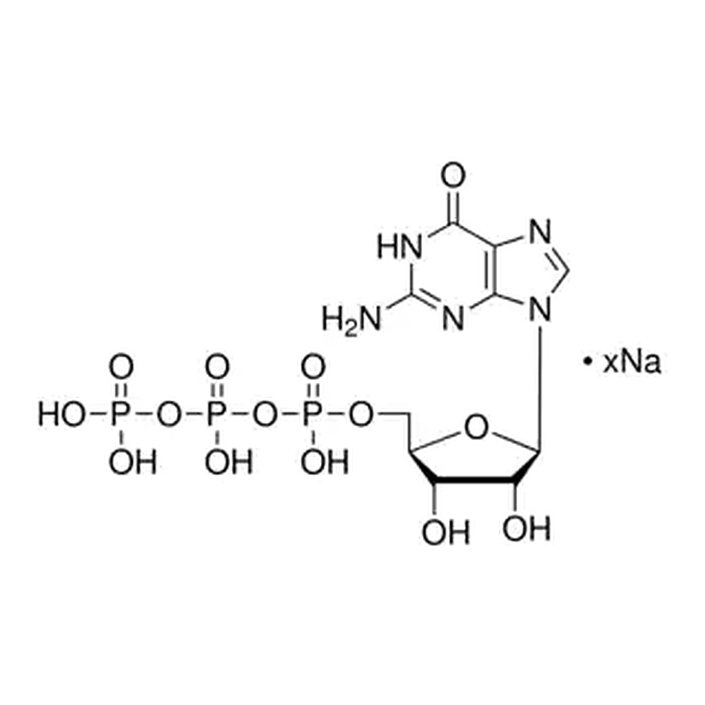 Merck Guanosine 5′-triphosphate sodium salt solution