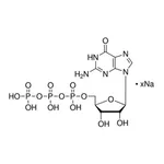 Merck Guanosine 5′-triphosphate sodium salt solution